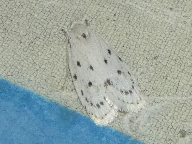 photo_3